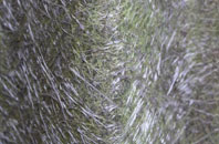 Boston West fibreglass roof work